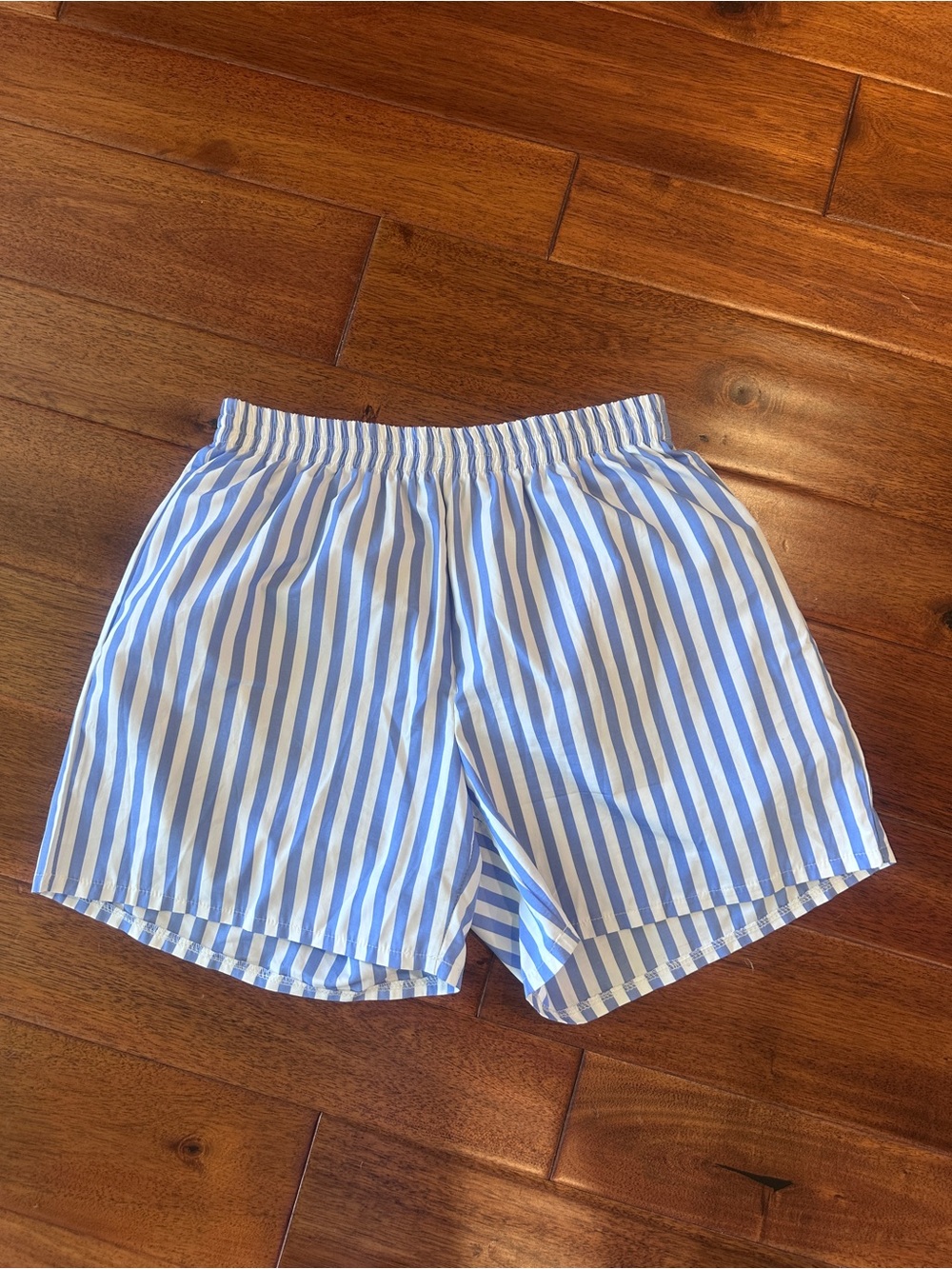 Women’s Blue and White Striped Shorts